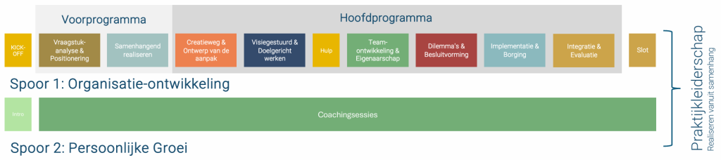 schema Praktijkleiderschap
